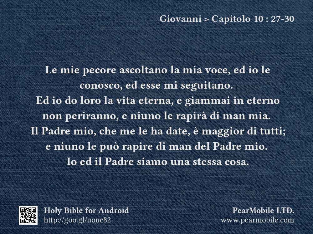 Giovanni, Capitolo 10:27-30